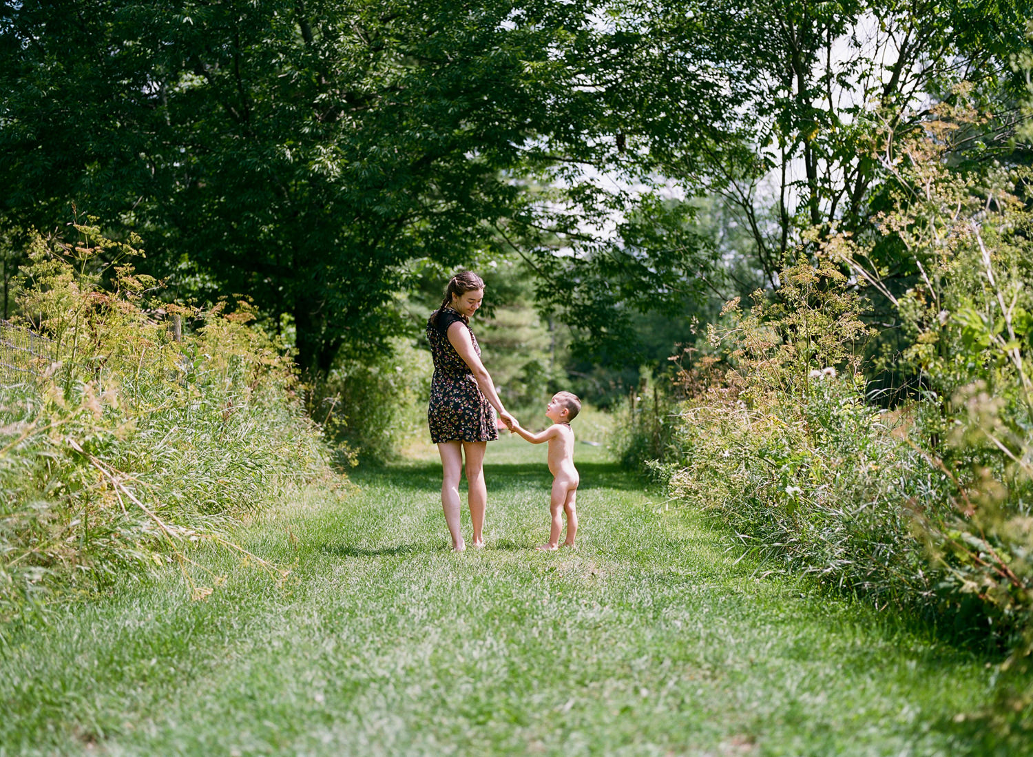 ferris farm, upstate new york // abegg adventures on film – Catherine Abegg